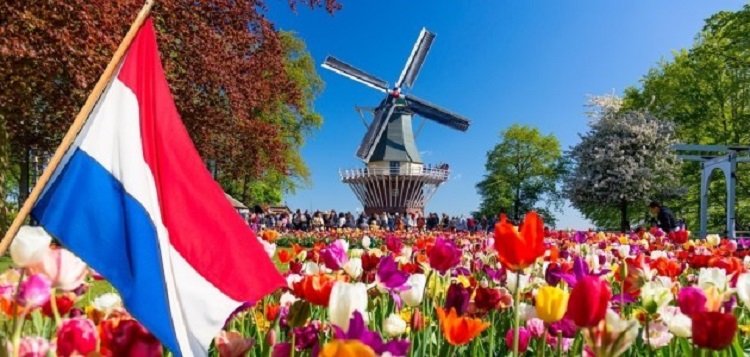 الهجرة إلى هولندا من مصر