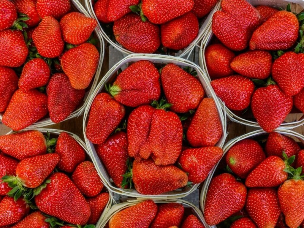 فراولة