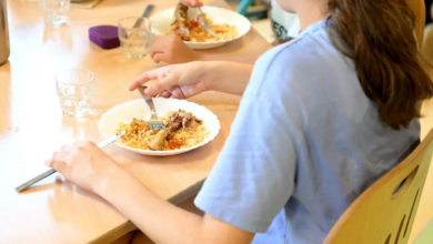 هل وجبات الغداء المعبأة محظورة حقاً في المدارس الفرنسية؟