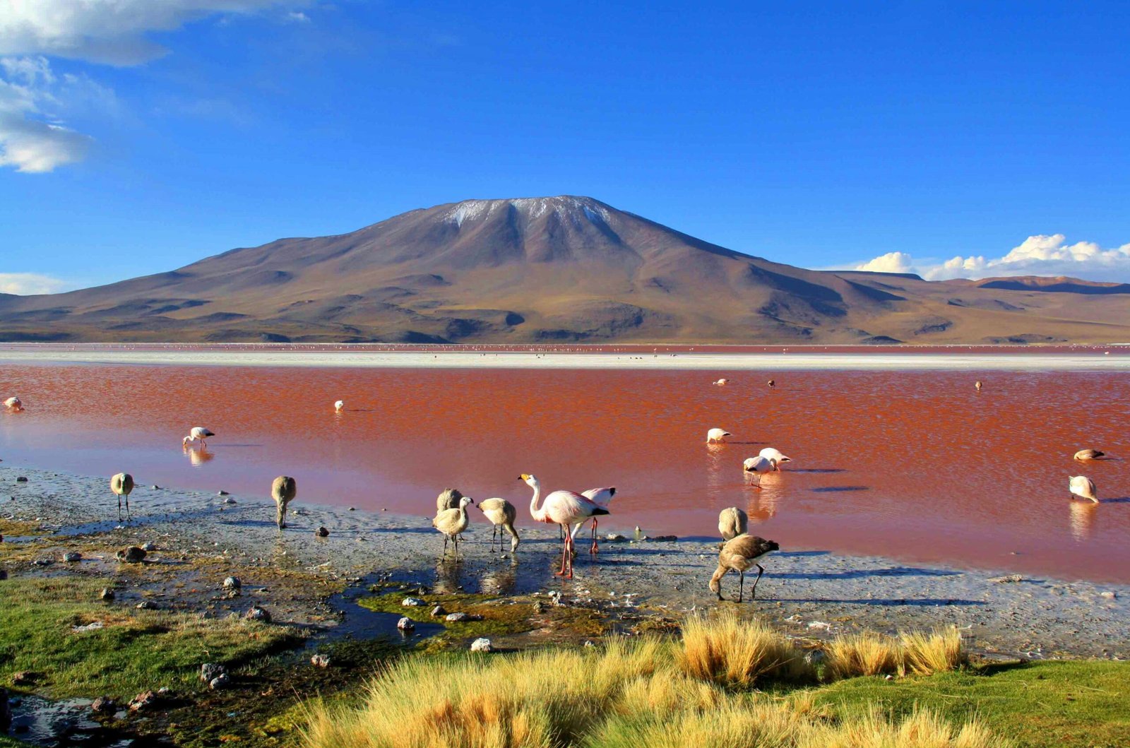 بوليفيا نبض جبال الأنديز ومن أرخص الدول للسياحة 2026أرخص الدول للسياحة