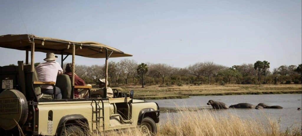 أفضل أماكن السفاري في قلب إفريقيا