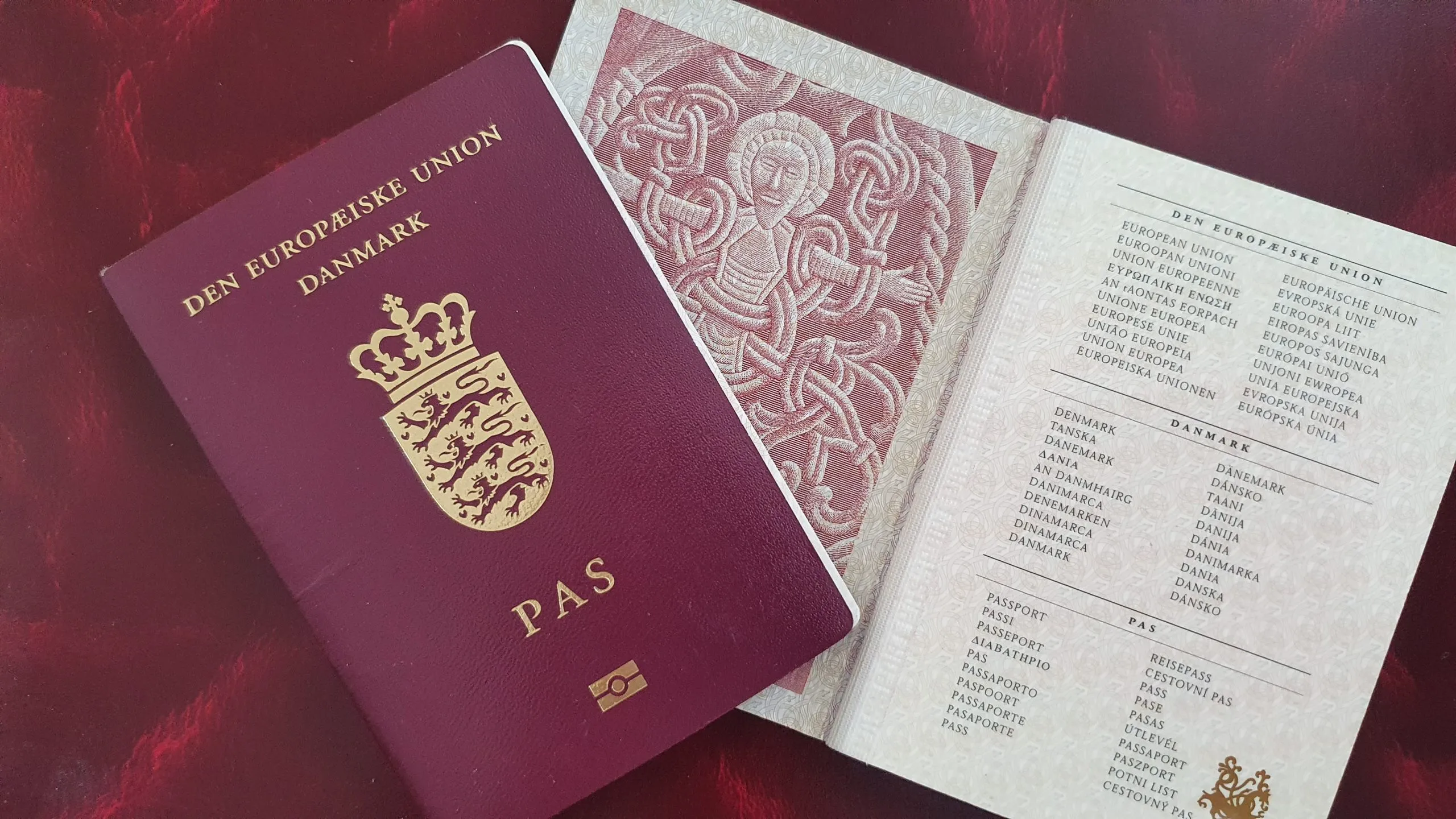 كيفية التحقق من أسماء الجوازات المنجزة للسفر لدول أوروبا عبر المنصات الرسمية؟