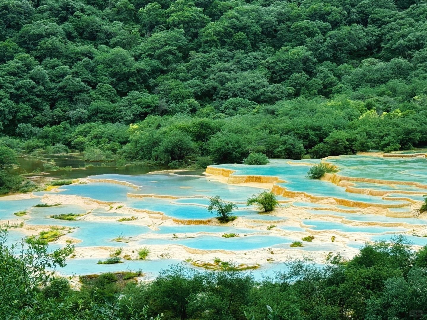 السياحة في الصين للمسافرون العرب