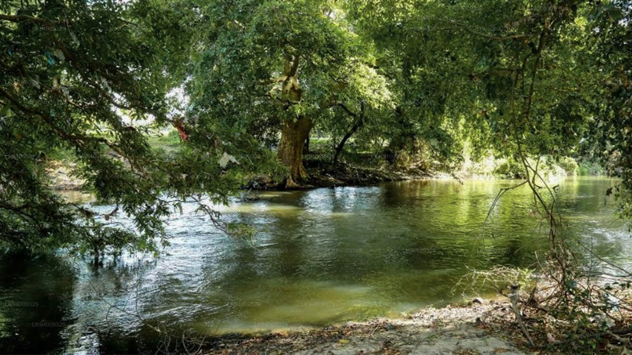 ملاوي سافر إلى أفريقيا بأقل تكلفة