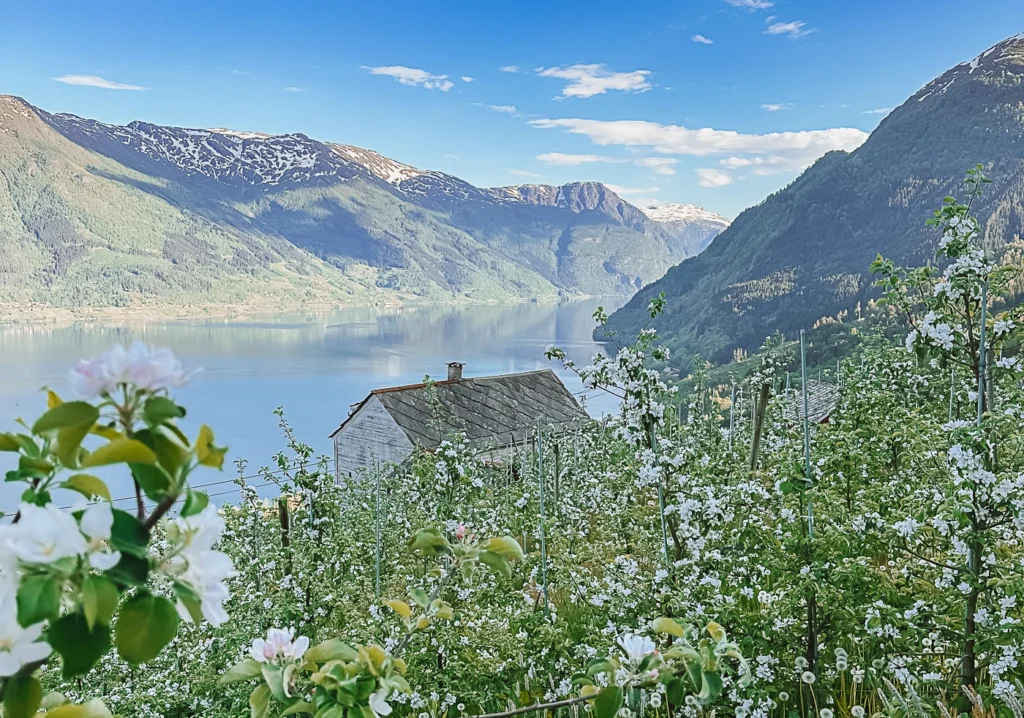 برنامج سياحي في النرويج 10 أيام