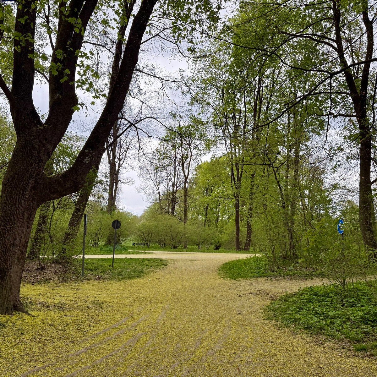 الحديقة الإنجليزية Englischer Garten من أجمل الأماكن في اقيم بافاريا الالماني